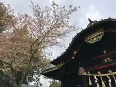 玉前神社の本殿
