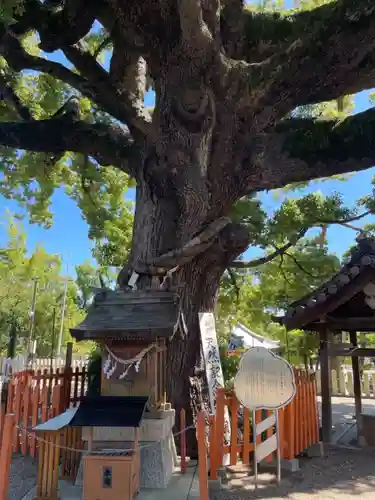 百舌鳥八幡宮の自然