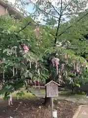 桜神宮の建物その他