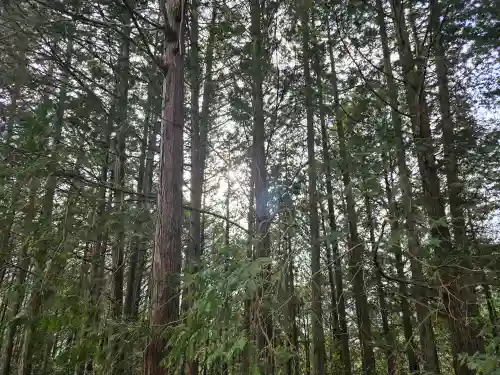 サムハラ神社 奥の宮(岡山県)
