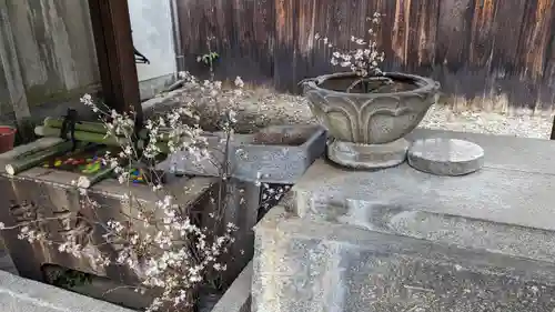 行願寺（革堂）(京都府)