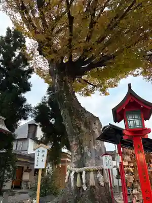 正ノ木稲荷 稲積神社(山梨県)