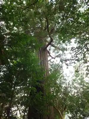 須佐神社(島根県)