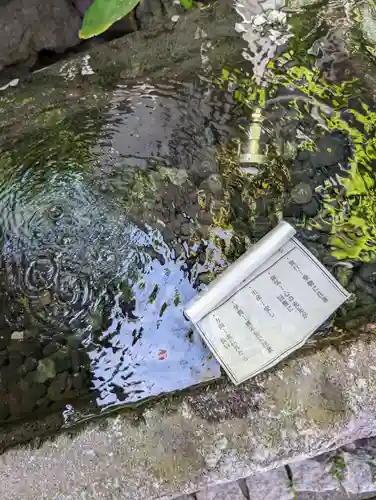 越谷香取神社のおみくじ