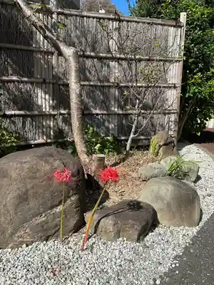 宝泉院(東京都)