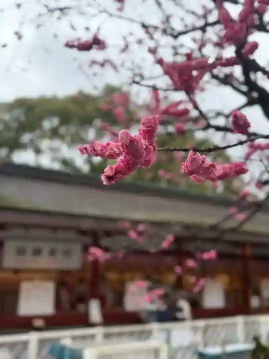 太宰府天満宮の{uncategorized: "未分類", other: "その他", undefined: "問題あり", building: "その他建物", grave: "お墓", sacred_gate: "鳥居", guardian: "狛犬", statue: "像", buddha: "仏像", history: "歴史", nature: "自然", garden: "庭園", animal: "動物", pagoda: "塔", temizu: "手水舎", mountain_gate: "山門・神門", sanctuary: "本殿・本堂", subordinate: "末社・摂社", art: "芸術", scenery: "景色", jizo: "地蔵", ema: "絵馬", goshuin: "御朱印", omikuji: "おみくじ", items: "授与品その他", amulet: "お守り", goshuincho: "御朱印帳", eats: "食事", festival: "お祭り", votive_dance: "神楽", shichigosan: "七五三参", wedding: "結婚式", experience: "体験その他", initially: "初詣", around: "周辺", anti_infection: "感染症対策"}