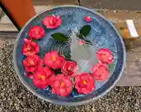 山寺日枝神社(山形県)