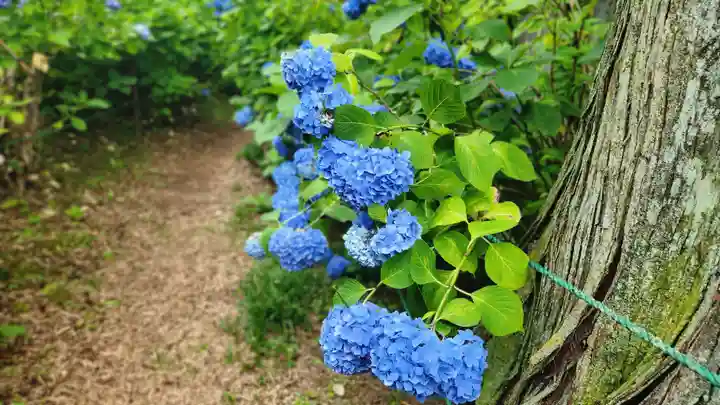 高林寺(福島県)