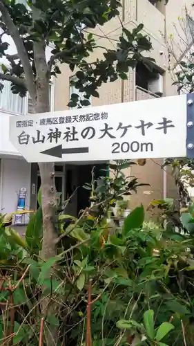 白山神社の周辺