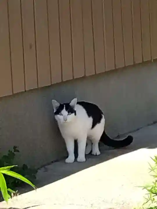 五郎兵衛稲荷神社(茨城県)