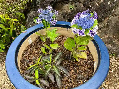 大善院(東京都)