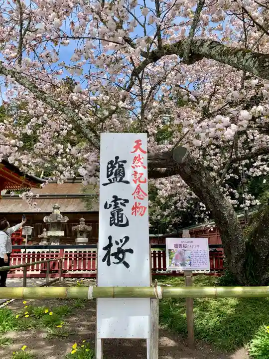 志波彦神社・鹽竈神社の{uncategorized: "未分類", other: "その他", undefined: "問題あり", building: "その他建物", grave: "お墓", sacred_gate: "鳥居", guardian: "狛犬", statue: "像", buddha: "仏像", history: "歴史", nature: "自然", garden: "庭園", animal: "動物", pagoda: "塔", temizu: "手水舎", mountain_gate: "山門・神門", sanctuary: "本殿・本堂", subordinate: "末社・摂社", art: "芸術", scenery: "景色", jizo: "地蔵", ema: "絵馬", goshuin: "御朱印", omikuji: "おみくじ", items: "授与品その他", amulet: "お守り", goshuincho: "御朱印帳", eats: "食事", festival: "お祭り", votive_dance: "神楽", shichigosan: "七五三参", wedding: "結婚式", experience: "体験その他", initially: "初詣", around: "周辺", anti_infection: "感染症対策"}