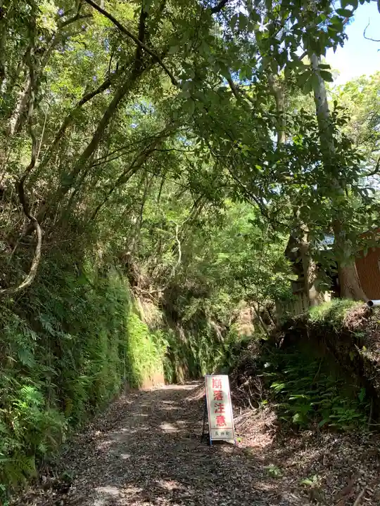 熊野神社の自然