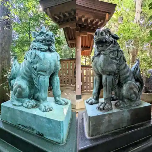 駒木諏訪神社の狛犬