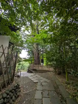 王子神社(東京都)