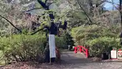 厳島神社(東京都)