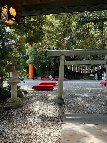 川越氷川神社(埼玉県)