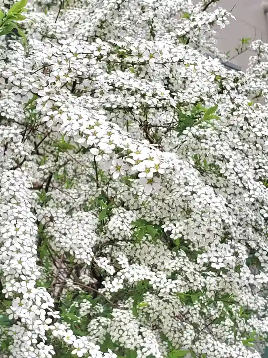阿邪訶根神社(福島県)