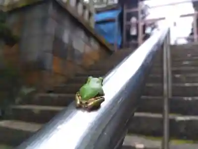 神明神社(福井県)