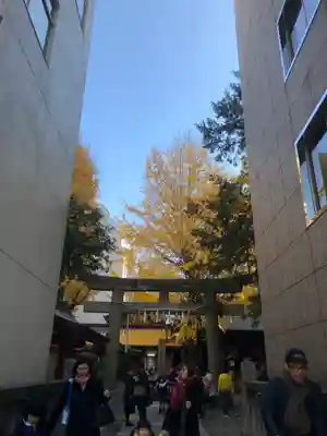 日本橋日枝神社の鳥居