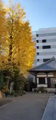 秋葉神社のその他建物