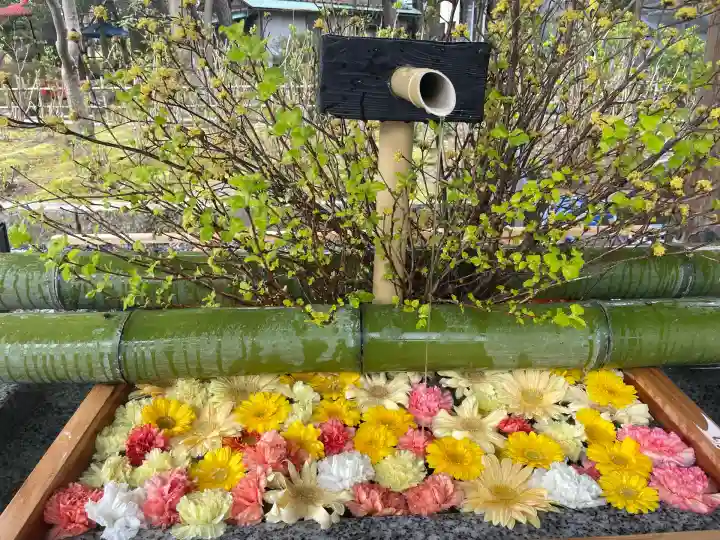 白山神社の手水舎
