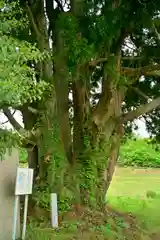 沢山神社（澤山神社)(新潟県)