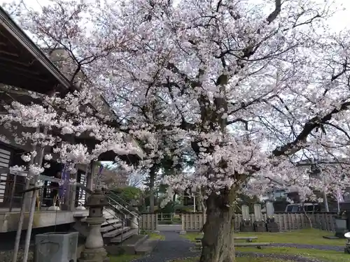妙経寺(福井県)