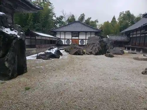 國泰寺の庭園