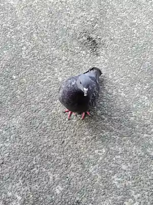 善光寺旧如来堂跡地蔵尊（延命地蔵尊）の動物