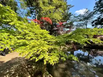 白毫寺熊野権現社(兵庫県)