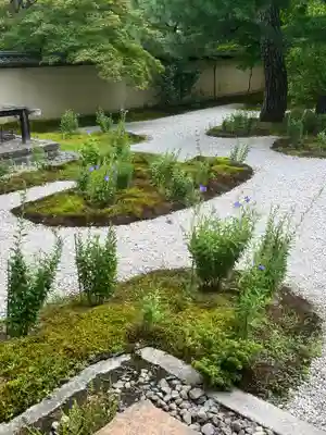 廬山寺(廬山天台講寺)(京都府)