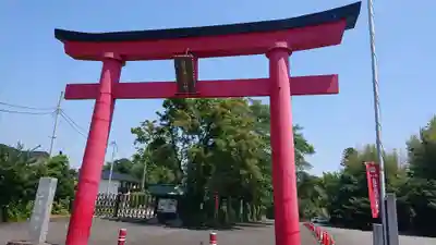 白笹稲荷神社の鳥居