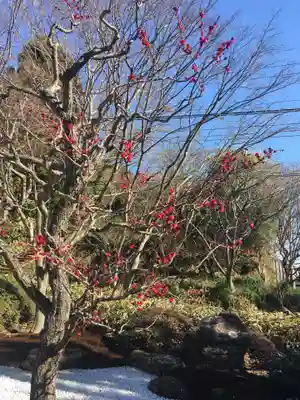 浄妙寺(神奈川県)