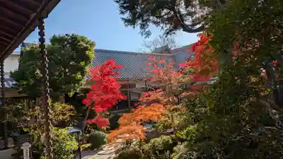 霊源院(京都府)