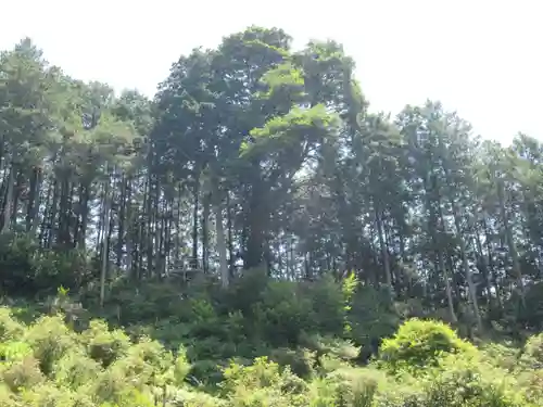 輪光院(東京都)