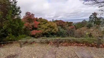 三鈷寺(京都府)
