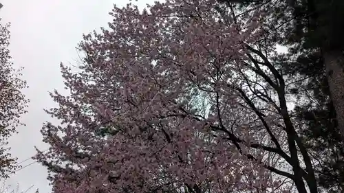 十勝護国神社の自然