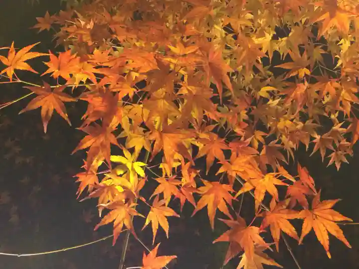 禅林寺(永観堂)(京都府)