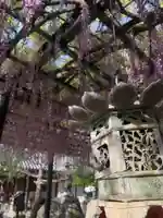 葛井寺(大阪府)