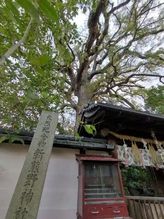 新熊野神社のその他建物