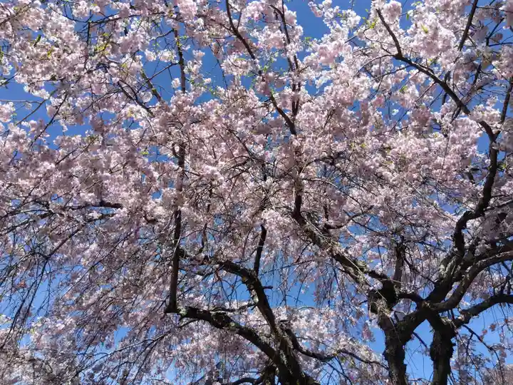 三明院(京都府)