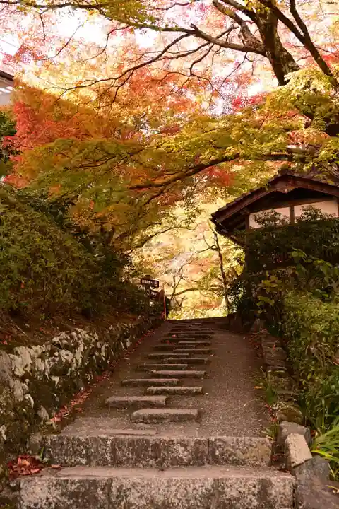 善峯寺(京都府)