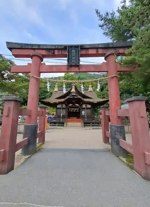 白鬚神社(滋賀県)