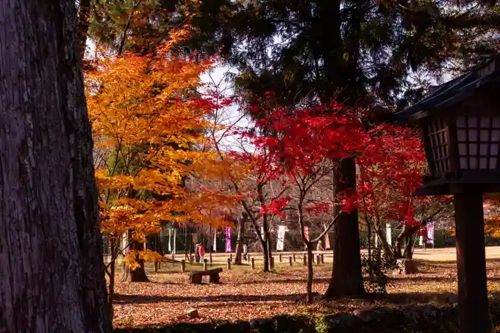 賀茂別雷神社(上賀茂神社)(京都府)