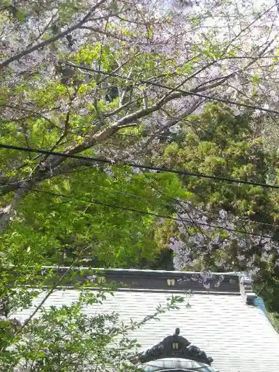御霊神社の自然