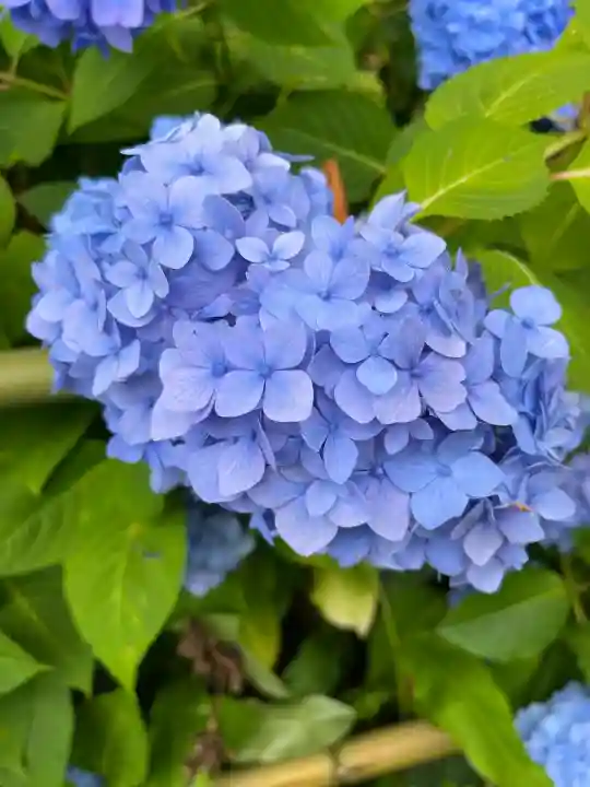 熊野那智大社(和歌山県)