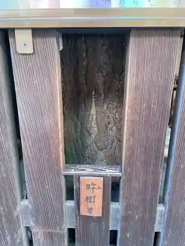 平等寺（因幡堂）(京都府)