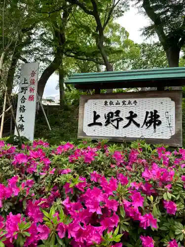 上野大佛(東京都)