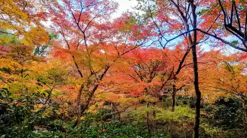 圓光寺(京都府)
